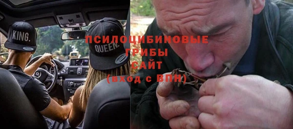 ГАЛЛЮЦИНОГЕННЫЕ ГРИБЫ Алексеевка
