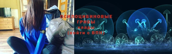 ешки Алексин