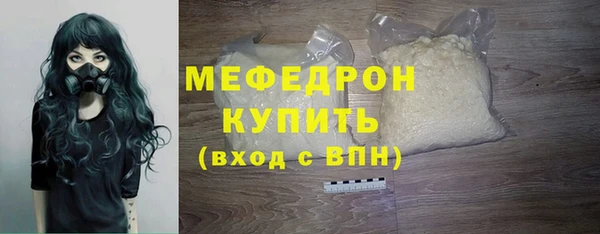 шишки Надым