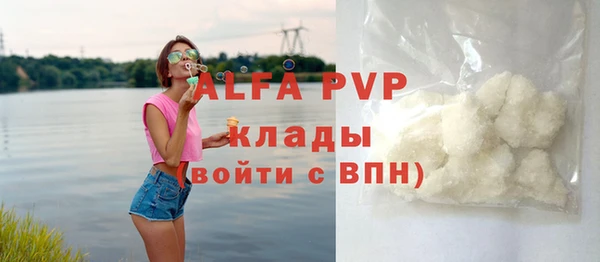 ешки Алексин